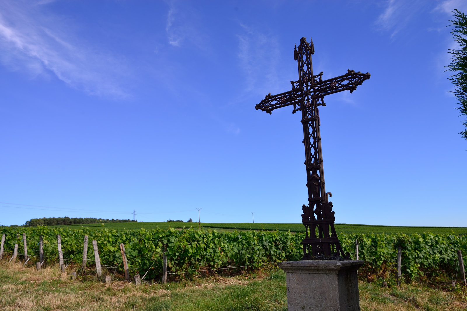 Wegkreuz und Weinberge