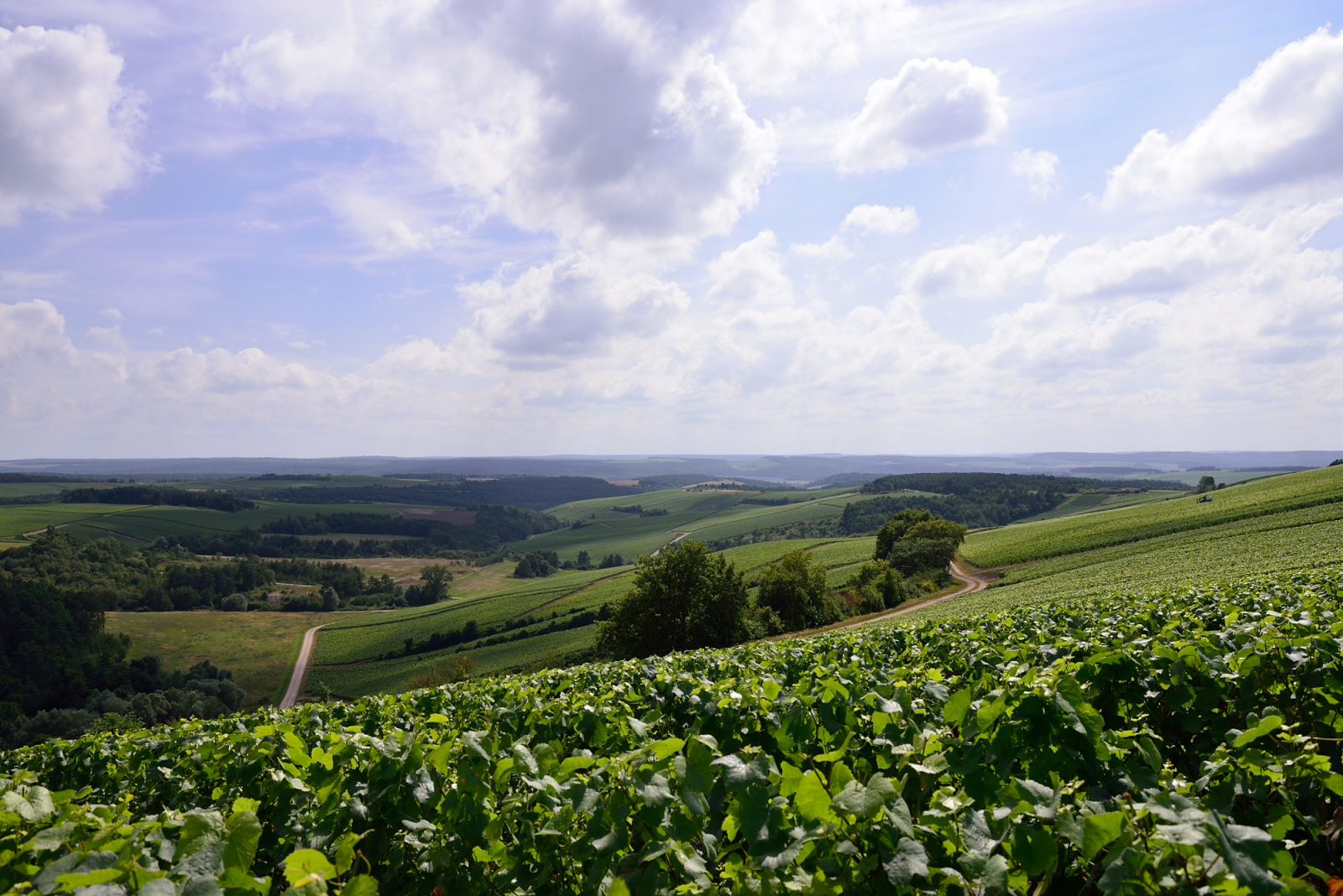 Aube Panorama